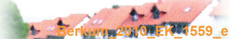 Berkum_2010_EK_1559_e