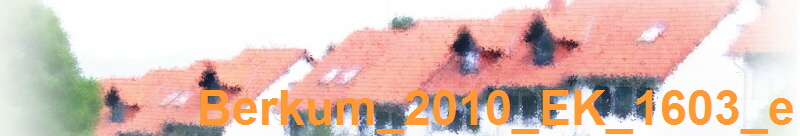 Berkum_2010_EK_1603_e