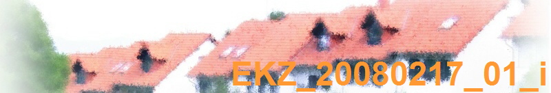 EKZ_20080217_01_i