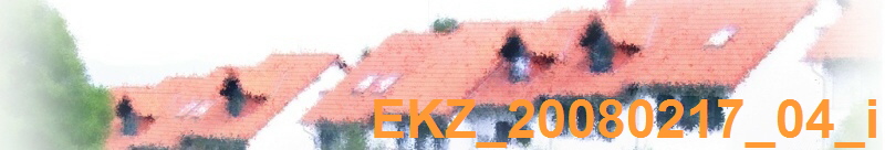 EKZ_20080217_04_i