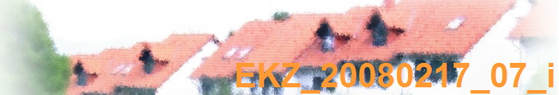EKZ_20080217_07_i