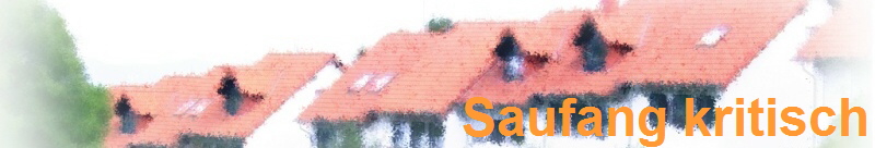 Saufang kritisch