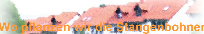 Wo pflanzen wir die Stangenbohnen?