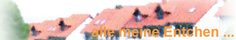 alle meine Entchen ...