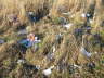 EKZ_20080217_01_i