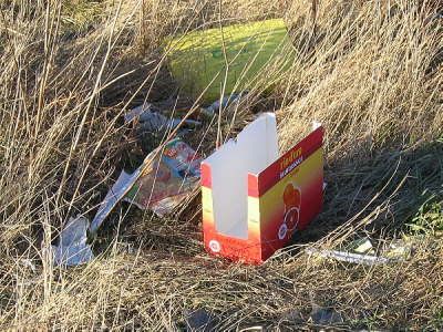 EKZ_20080217_03_i